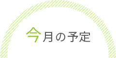 今月の予定